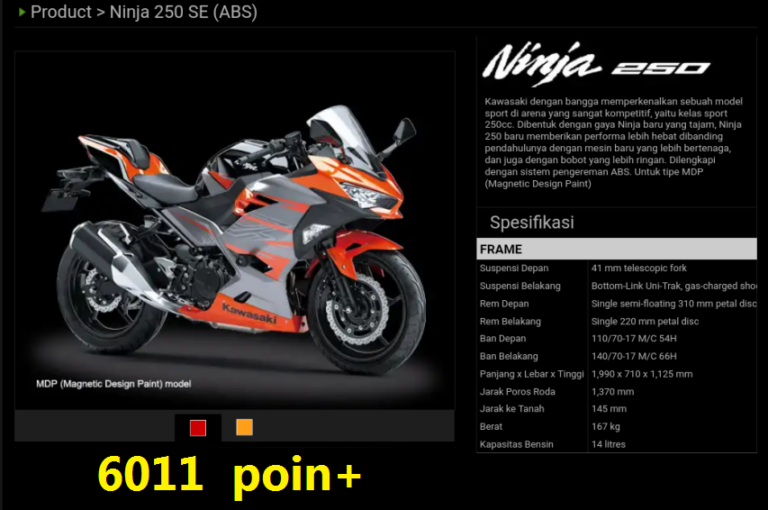 Ninja 250 Abs